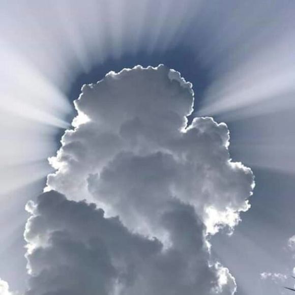 Meet the Posher Other - Meet your Posher, Julie